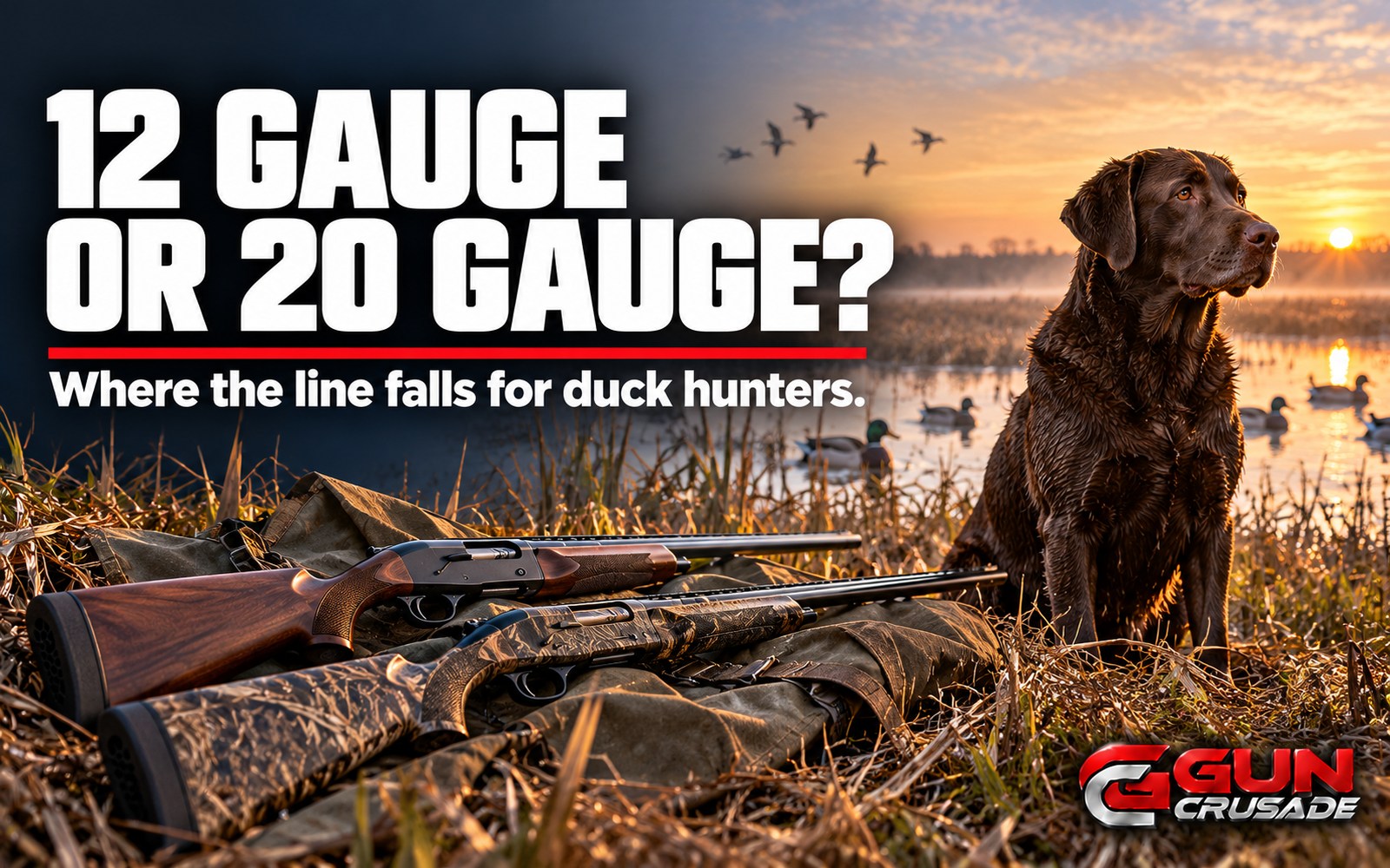 12 Gauge or 20 Gauge for Ducks? A Field Test Shows Where the Line Falls