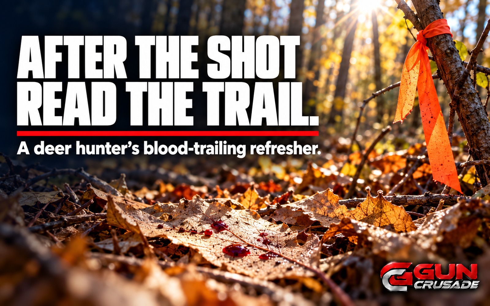 After the Shot: A Deer Hunter's Refresher on Blood Trailing